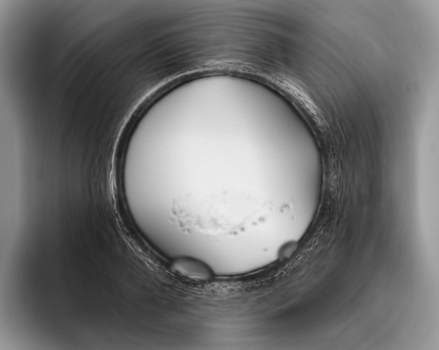 X0000095930888200802011019