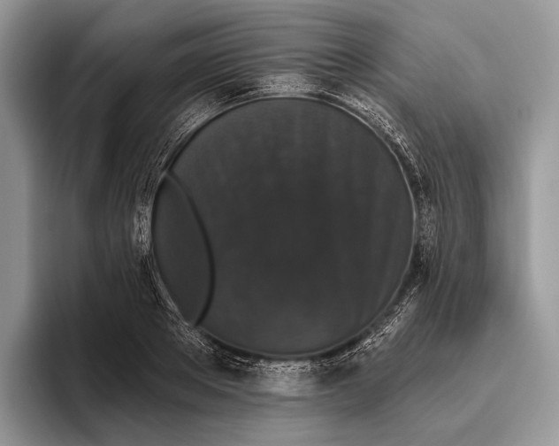 X0000095930889200802011019