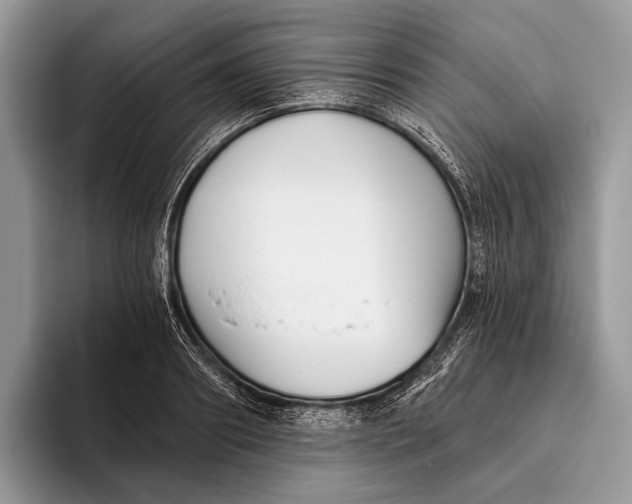 X0000095930890200802011019