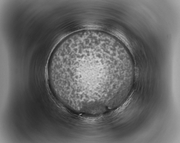 X0000095930891200802011019