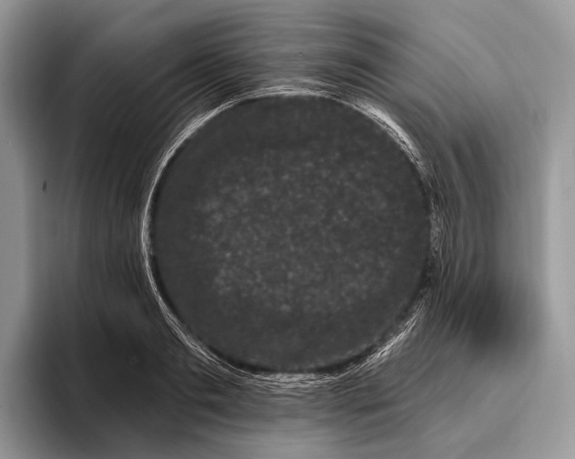 X0000095930893200802011019