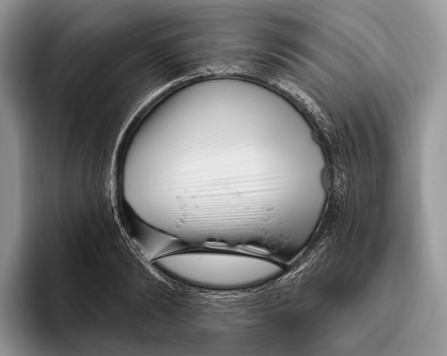X0000095930894200802011019