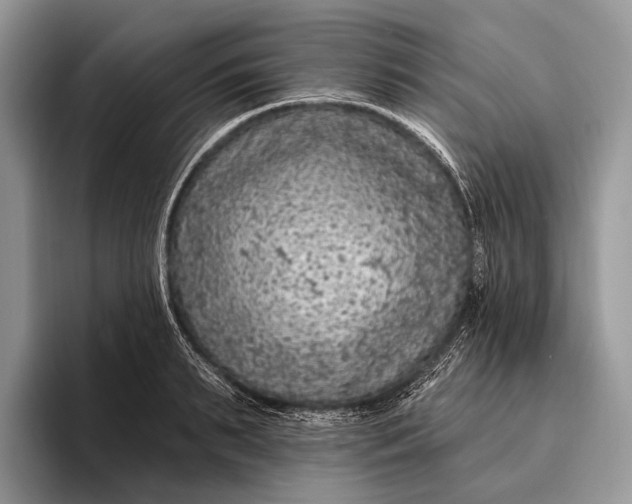 X0000095930895200802011019