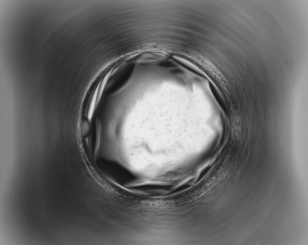 X0000095930896200802011019