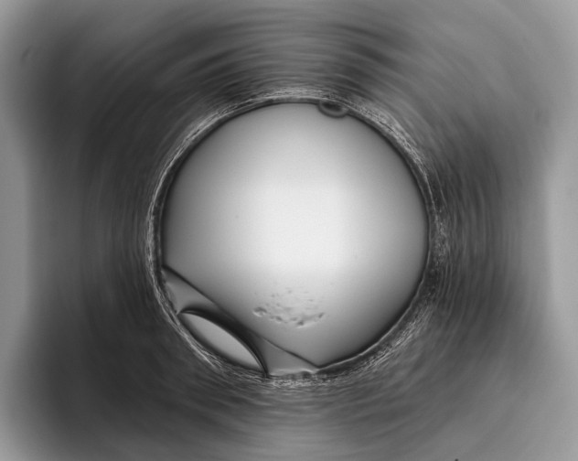 X0000095930898200802011019