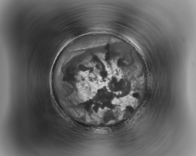 X0000095930899200802011019
