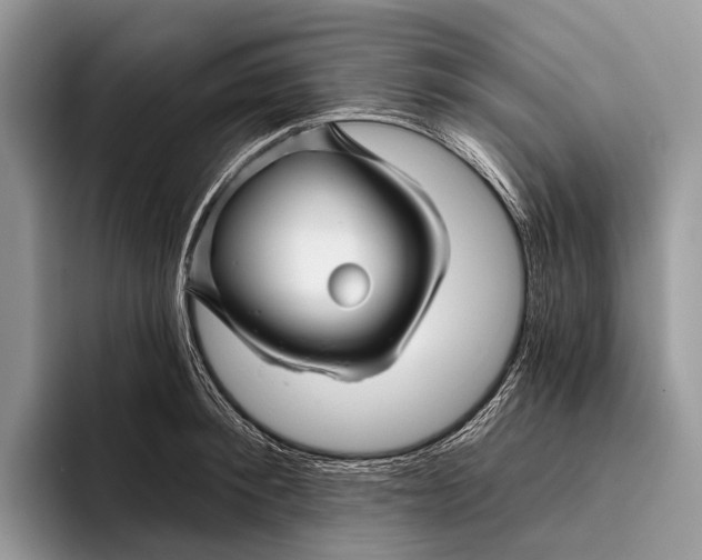 X0000095930900200802011019