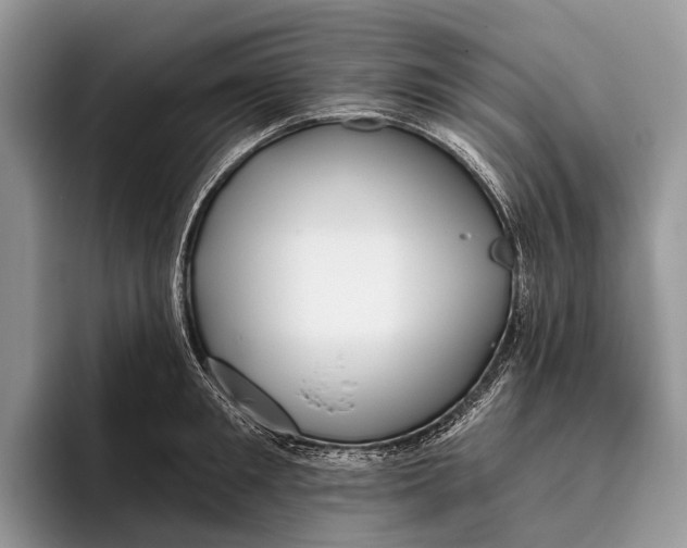 X0000095930901200802011019