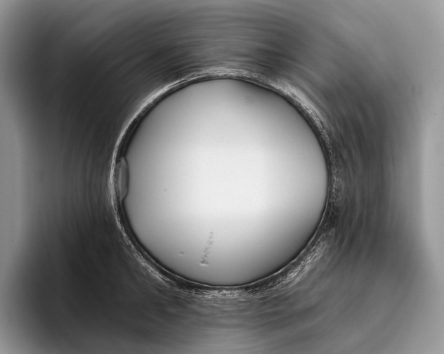 X0000095930902200802011019