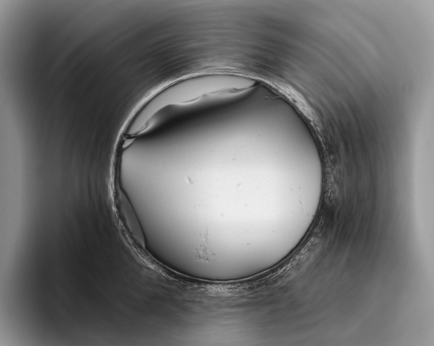 X0000095930904200802011019