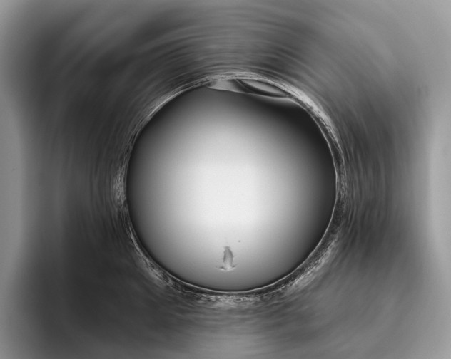 X0000095930905200802011019
