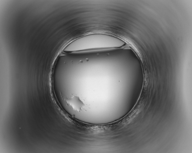 X0000095930906200802011019