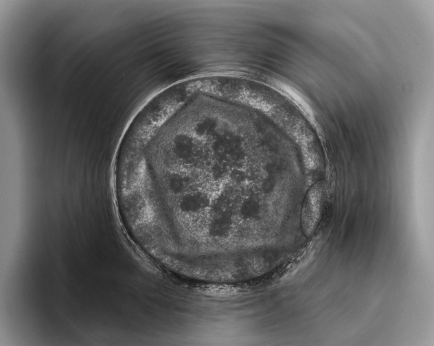 X0000095930907200802011019