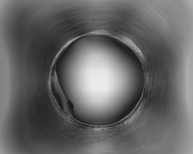 X0000095930908200802011018