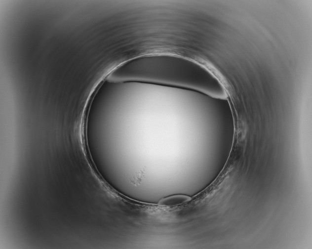 X0000095930909200802011018