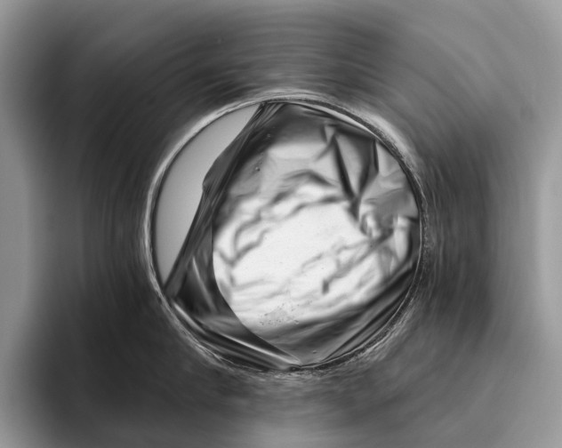 X0000095930910200802011018