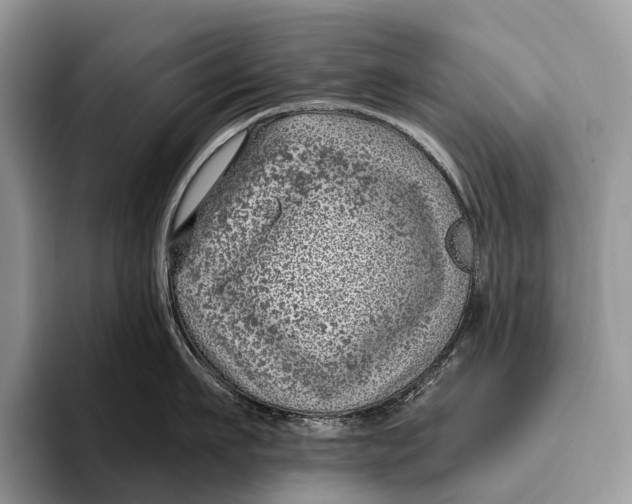 X0000095930911200802011018