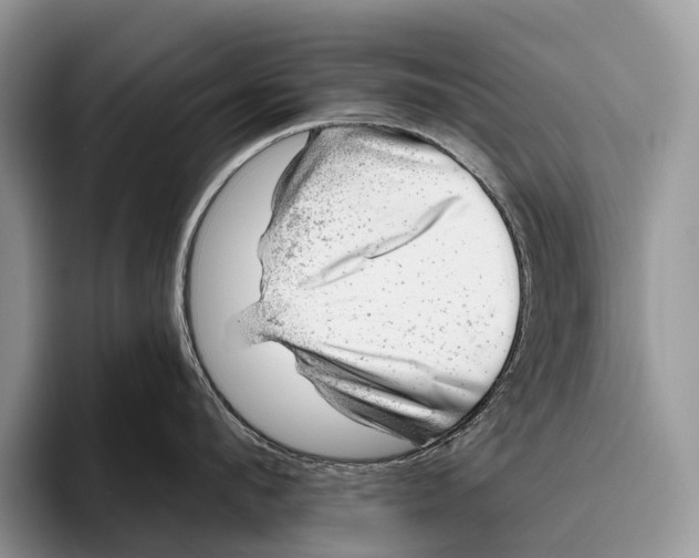 X0000095930912200802011018
