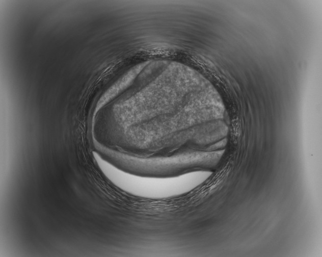 X0000095930916200802011018