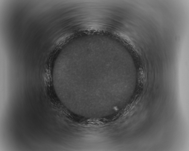 X0000095930918200802011018