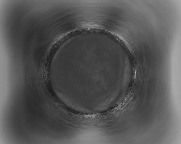X0000095930919200802011018