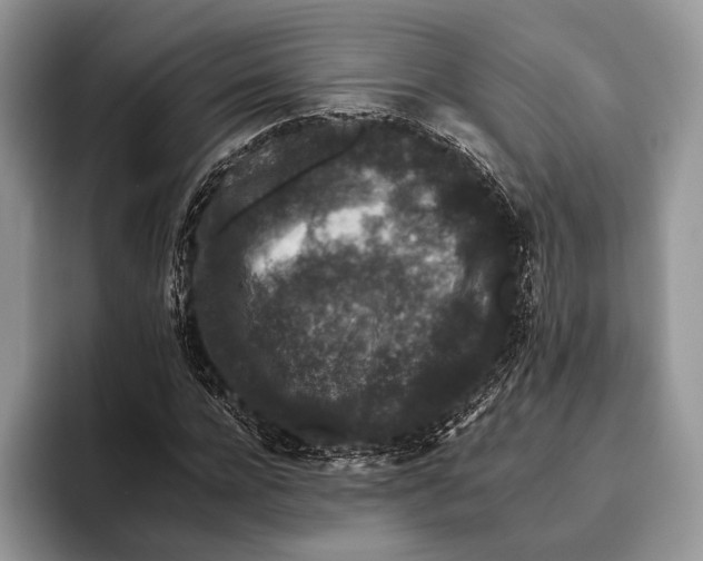 X0000095930920200802011018