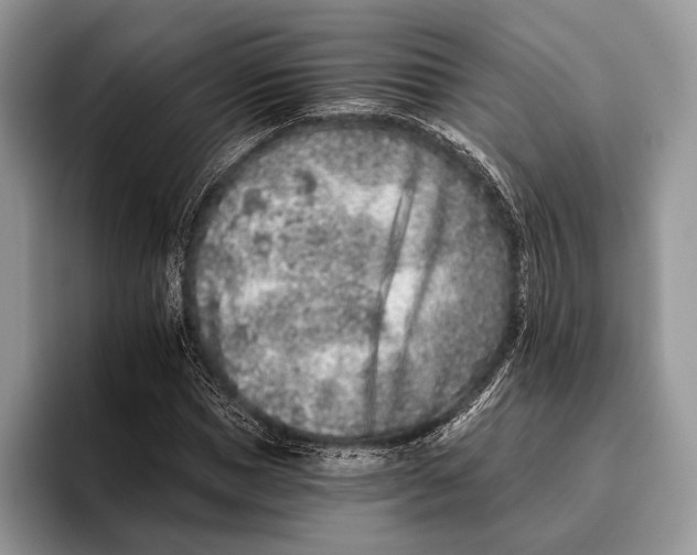 X0000095930921200802011018