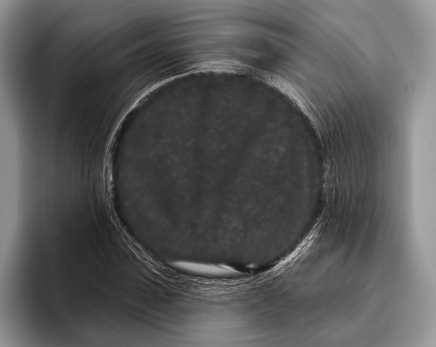 X0000095930923200802011018