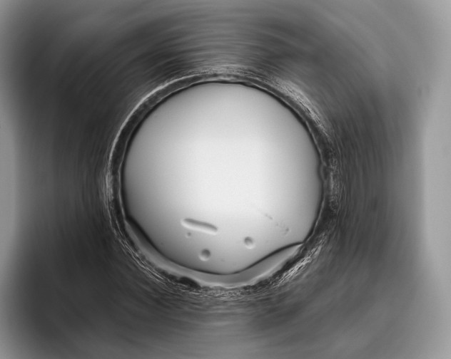 X0000095930924200802011018
