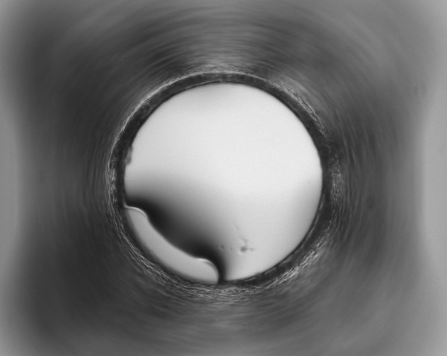 X0000095930926200802011018