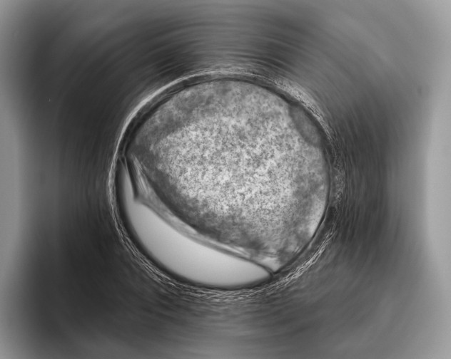 X0000095930928200802011018