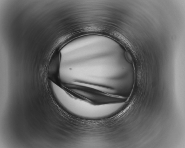 X0000095930930200802011018