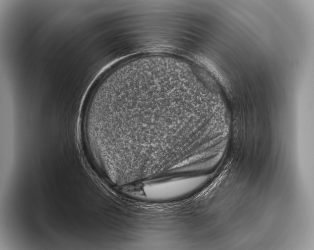 X0000095930932200802011018