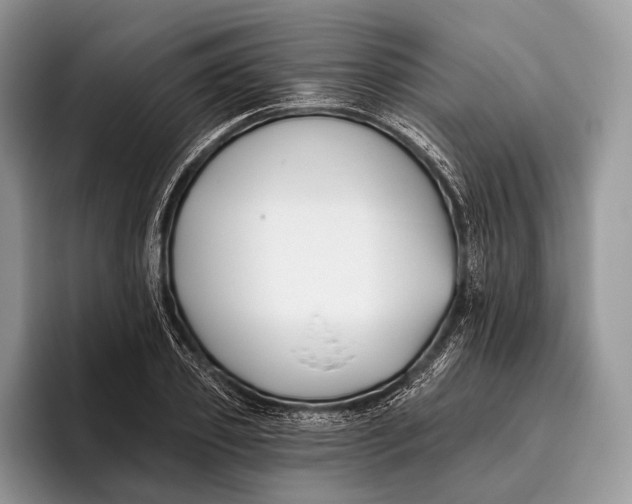 X0000095930933200802011018