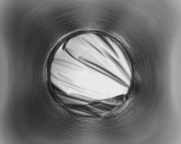 X0000095930934200802011018