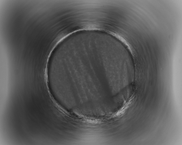 X0000095930935200802011018