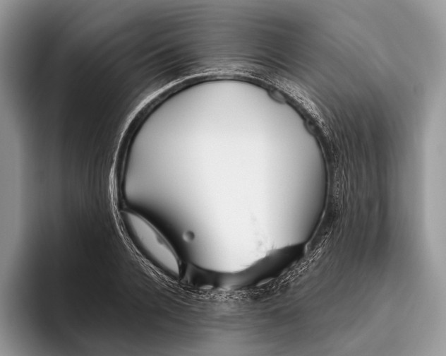 X0000095930936200802011018