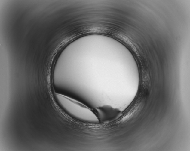 X0000095930938200802011018