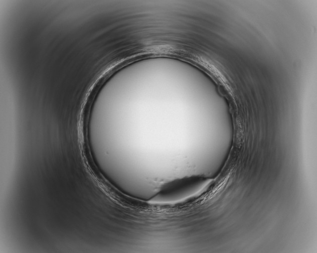 X0000095930939200802011018