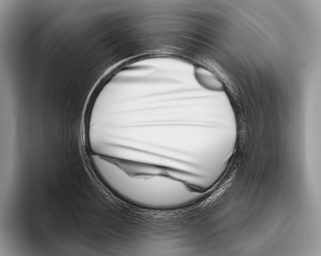 X0000095930940200802011018