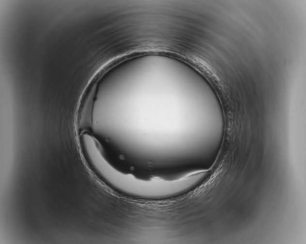 X0000095930942200802011018