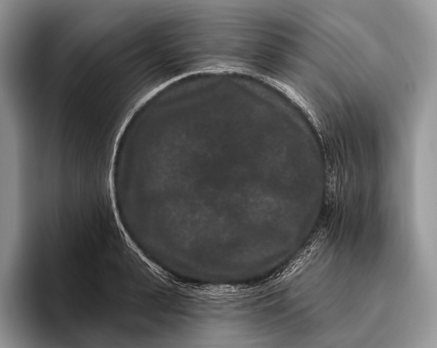 X0000095930943200802011018
