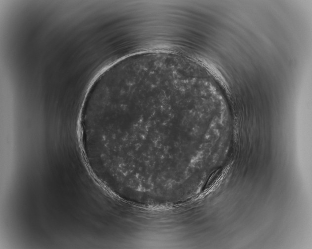 X0000095930944200802011018