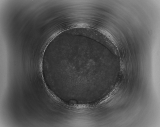X0000095930946200802011018