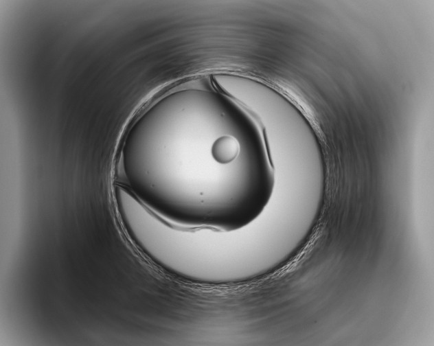 X0000095930948200802011018