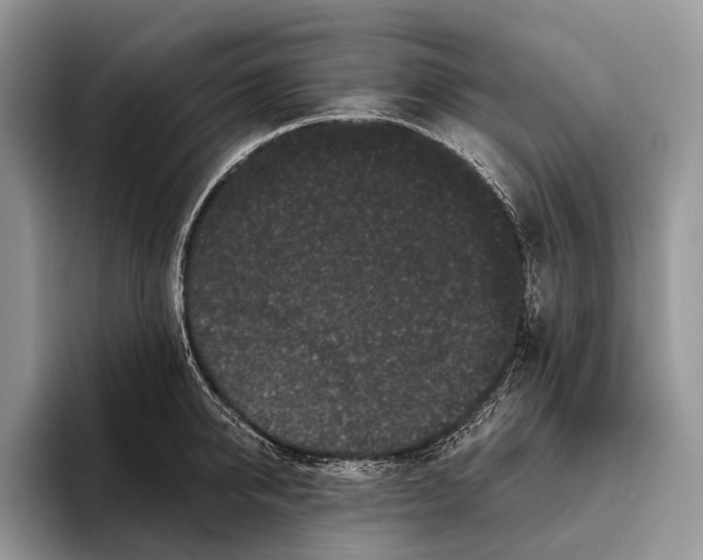X0000095930950200802011018
