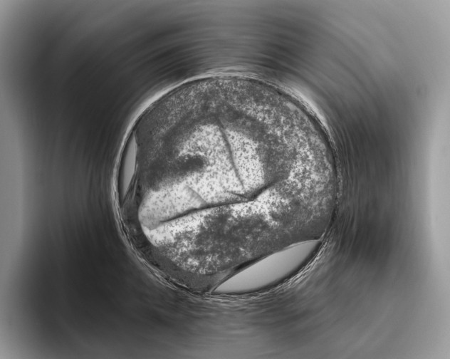 X0000095930952200802011018