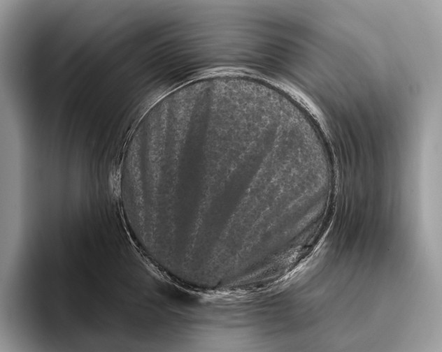 X0000095930953200802011018
