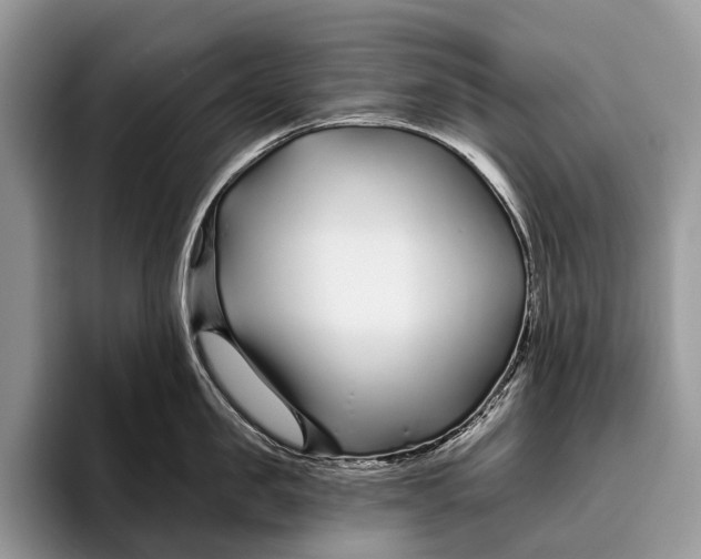 X0000095930957200802011018