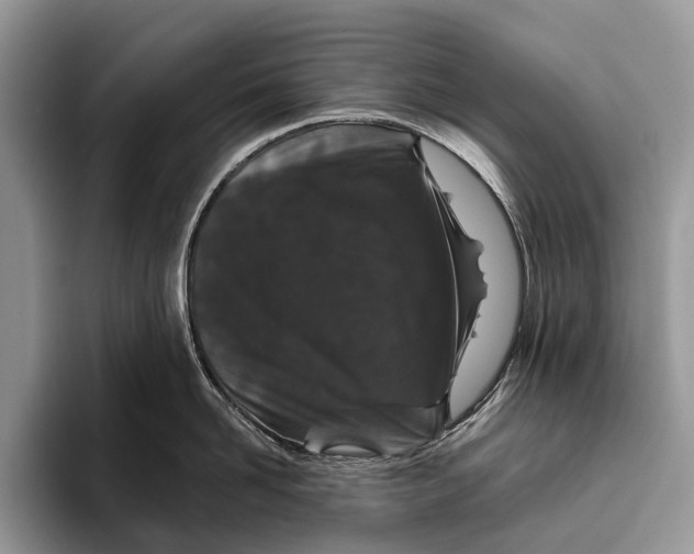 X0000095930958200802011018